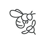 Bees - Kyocera Group UK